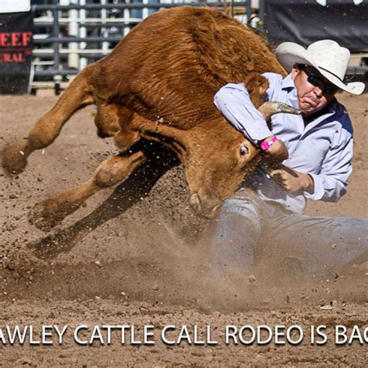 Unraveling The Brawley Accident Cattle Call: Uncovering Truths And Lessons