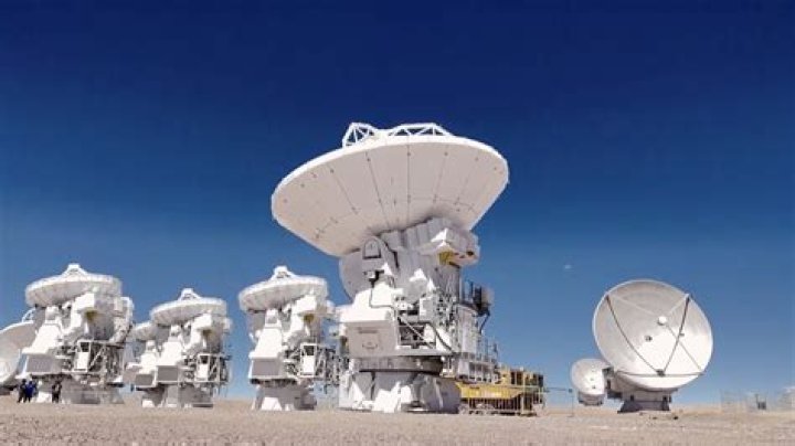 Unveiling The Secrets Of Emorphia Margartis: Age And Pearl Perfection